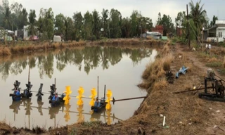 Bất cẩn khi xuống đầm tôm, người đàn ông bị máy cuốn 'cậu nhỏ'