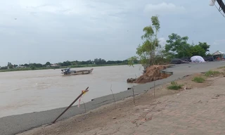 Đề xuất hàng trăm tỷ giải cứu quốc lộ ở An Giang đang bị sông 'nuốt chửng' 