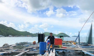 Nuôi cá lồng bè ở Nam Du, thu hàng trăm triệu mỗi năm