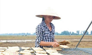 Độc đáo khô cá sấu ở An Giang