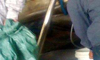 Rùng mình với đá sạch