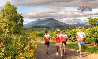 Giám đốc Sở VH-TT-DL Gia Lai: 'Pleiku sẵn sàng mở hội đón các runner'