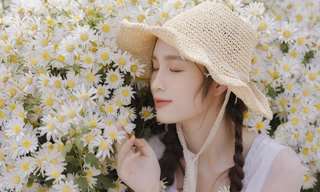 Hoa khôi ĐHQG Hà Nội khoe sắc bên cúc hoạ mi