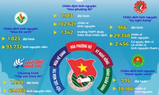 Infographic kết quả tuần 1: Chiến dịch Thanh niên tình nguyện Hè 2024
