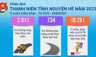 Infographics: Những con số ấn tượng qua 11 tuần triển khai Chiến dịch Tình nguyện Hè