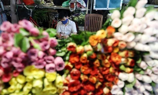 Tấp nập chợ hoa đêm Quảng Bá ngày 8/3