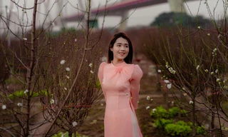 Thướt tha tà áo dài Tết 'check in' vườn đào Nhật Tân 