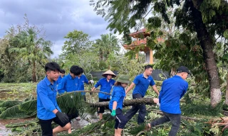 Sinh viên Quảng Ninh tình nguyện hỗ trợ khắc phục hậu quả bão YAGI