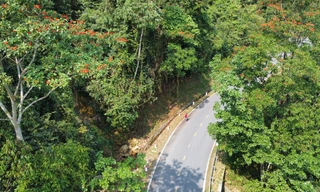 Clip cung đường chạy Tiền Phong Marathon 2023