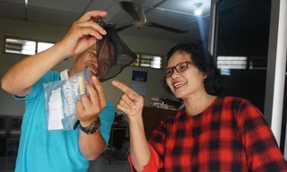 Thả muỗi có tác động làm giảm đáng kể dịch sốt xuất huyết