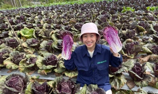 Bỏ công việc thành phố về rừng 'livetream' bán hàng nông sản