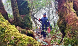 Xuyên rừng già chinh phục một trong tứ đại đỉnh núi Việt Nam 