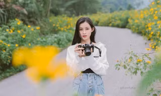 Giới trẻ 'checkin' vườn hoa dã quỳ lớn nhất Thủ đô