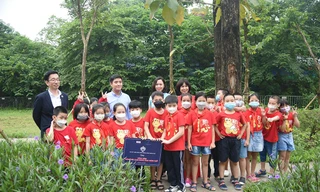 Khởi động những cây xanh trong lòng thành phố