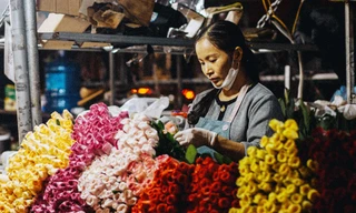 Chợ hoa đêm Quảng Bá điểm ‘check-in’ của giới trẻ Hà thành