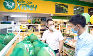 Hỗ trợ nông sản vượt dịchCOVID-19 bằng những “Điểm bán xanh”