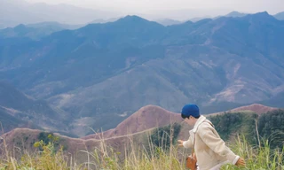 Thiên đường cỏ lau ở Bình Liêu