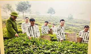 Những khó khăn, thách thức và giải pháp trong công tác trại giam tại Việt Nam 