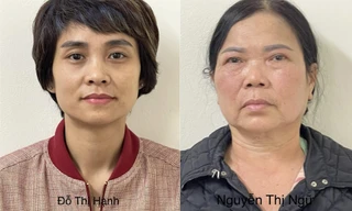 Khởi tố 4 bị can liên quan vụ án ‘thổi giá’ cây xanh ở Hà Nội