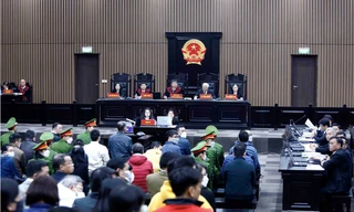 Lời khai của dàn lãnh đạo 'quân xanh, quân đỏ' giúp Công ty AIC trúng thầu 