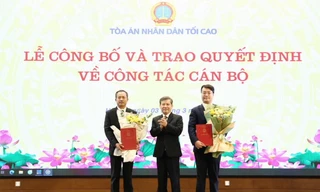 Bổ nhiệm Chánh Văn phòng Tòa án nhân dân Tối cao