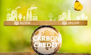 Sẽ có hai loại hàng hóa được giao dịch trên thị trường carbon