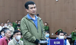 Tổng giám đốc Công ty Việt Á Phan Quốc Việt nhận thêm 29 năm tù 