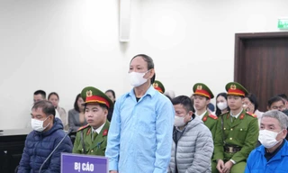 Cựu Chủ tịch NXB Giáo dục Việt Nam 'có công' giúp phá đường dây buôn lậu sách liên quan vụ ông Trần Hùng