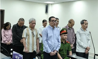 Đề nghị thu hồi 3 khu đất có sai phạm của Vinatea, giao địa phương quản lý