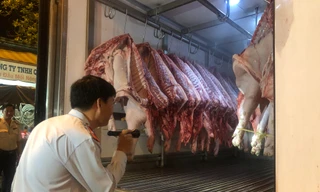 TPHCM tăng cường kiểm tra, quyết không để dịch tả heo châu Phi vào Thành phố