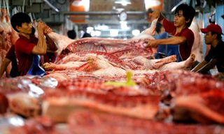 Giá thịt lợn hơi tại hầu hết các tỉnh tăng 1.000 - 3.000 đồng một kg so với tháng 3 sau khi dịch tả lợn châu phi được khống chế.