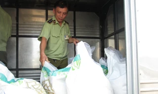 QLTT TPHCM kiểm tra các cửa hàng kinh doanh đường thì 100% đều vi phạm