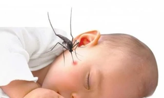 Nhiều trẻ em nhập viện tại TPHCM do mắc sốt xuất huyết