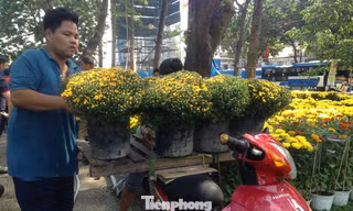 Nếu chịu khó, người chở hoa thuê có thể kiếm tiền triệu mỗi ngày
