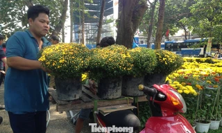 Nếu chịu khó, người chở hoa thuê có thể kiếm tiền triệu mỗi ngày