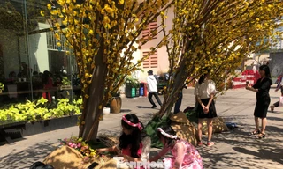 Những tiểu cảnh trang trí bị khách tham quan tận dụng làm đệm ngồi nghỉ mệt