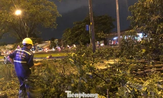 Cây xanh ngã nằm ngổn ngang trên đường Võ Văn Kiệt (Q.6)