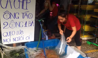 Cá chép bắt đầu sốt giá ngày ông Công ông Táo