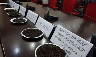 Hiệp hội Hồ tiêu lên tiếng về nghi vấn 'trộn phế phẩm cà phê vào tiêu'