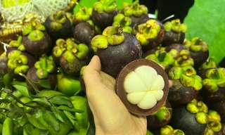 Hiện tượng lạ: Măng cụt rớt giá đầu vụ