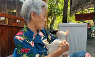 Xúc động cảnh cụ bà chỉ ăn cơm không, dành tiền nuôi 'đàn con' ở Thảo Cầm viên