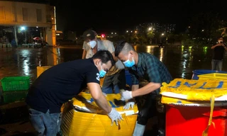 Chợ Bình Điền hoạt động dưới dạng điểm tập kết, trung chuyển thực phẩm