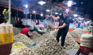 Củ kiệu khan hàng, giá tăng gấp đôi 