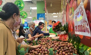 Bất ngờ với giá mận hậu vào mùa ở TPHCM