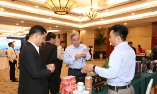 Bình Định ‘trải thảm đỏ’ mời gọi doanh nghiệp TPHCM 