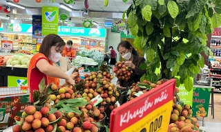 Vải thiều 'phủ đỏ' từ chợ đến siêu thị TPHCM