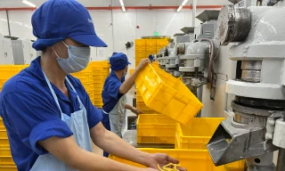 Dày đặc 'chướng ngại vật' trên con đường vay vốn 