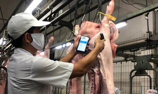 Doanh nghiệp không dám hạ giá thịt heo vì sợ dân nghi 'có vấn đề'