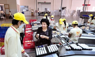 Bà Ba Huân đòi ly hôn với Quỹ đầu tư VinaCapital