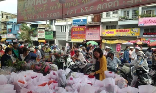 Người mua hoa ken cứng các ngả vào chợ hoa lớn nhất Sài Gòn